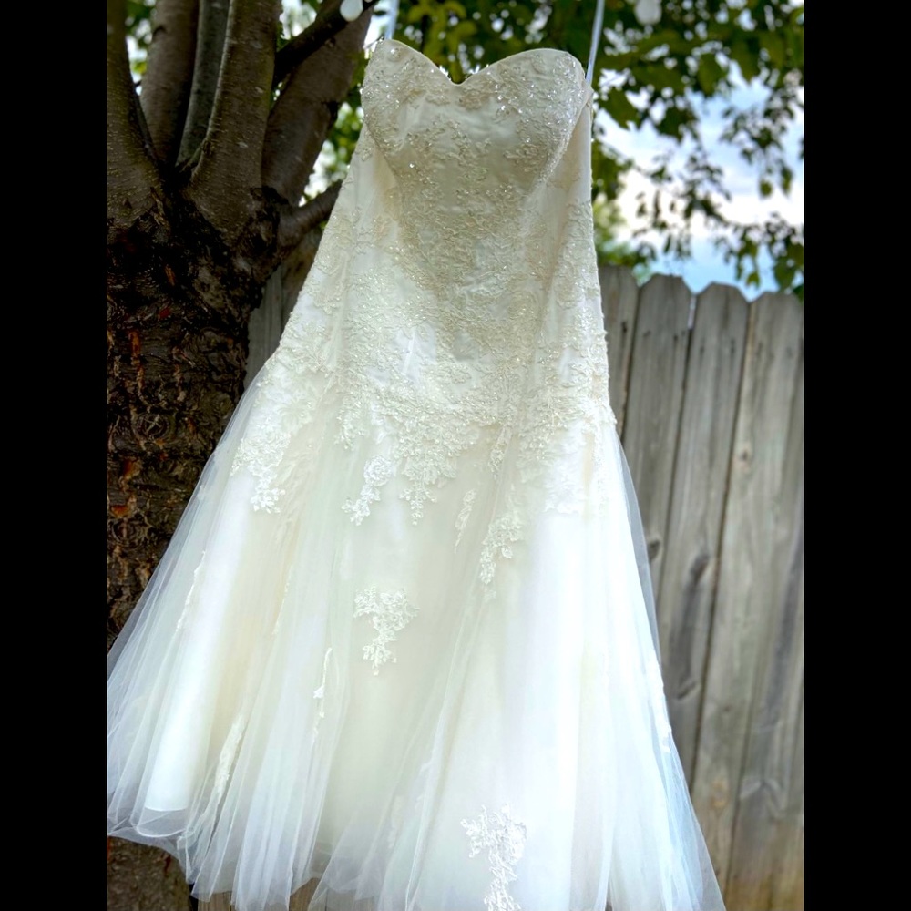 Ivory Tea Length Tulle Dress